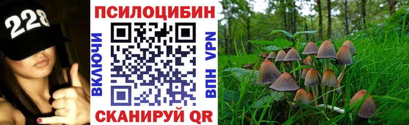 гидра ссылки  Питкяранта  Галлюциногенные грибы Cubensis 
